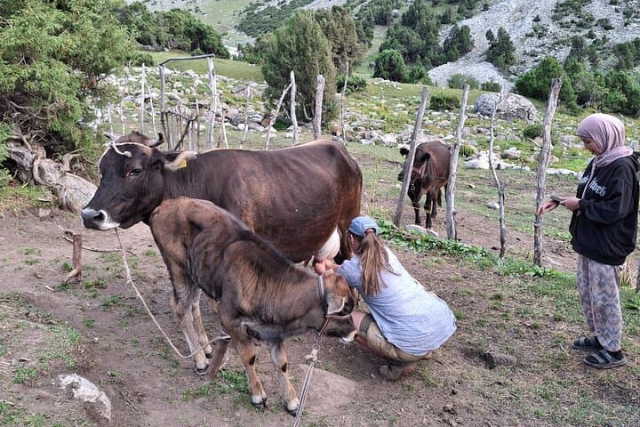 Kichi Alay 2-Day Hiking Tour: Overnight Glacier Lake Trek from Osh photo 4