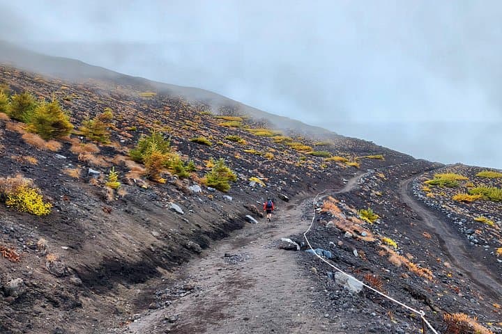 Hike Mount Houei: Walk the 1707 Hoei Crater Rim on Mt. Fuji photo 4