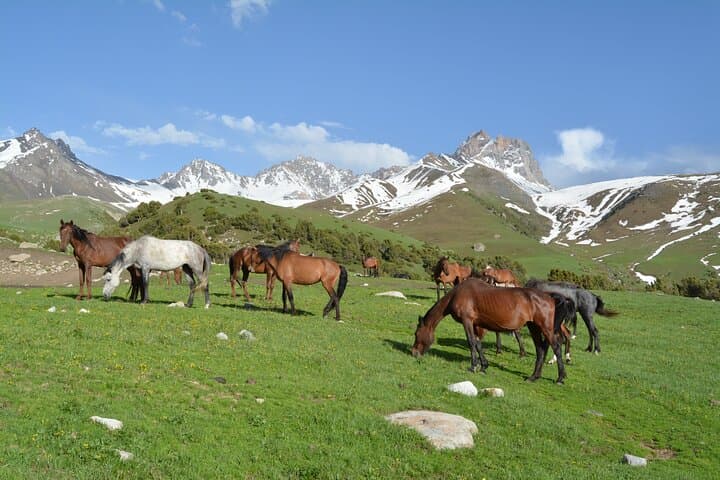 Kichi Alay 2-Day Hiking Tour: Overnight Glacier Lake Trek from Osh