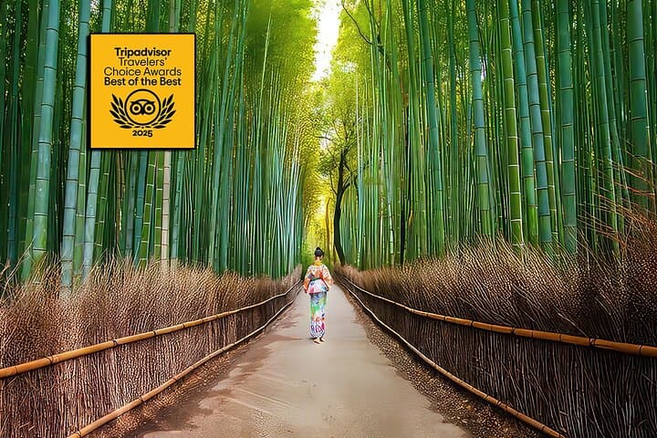 Arashiyama Walking Tour: Bamboo Grove, Tenryuji & Monkey Park in Kyoto