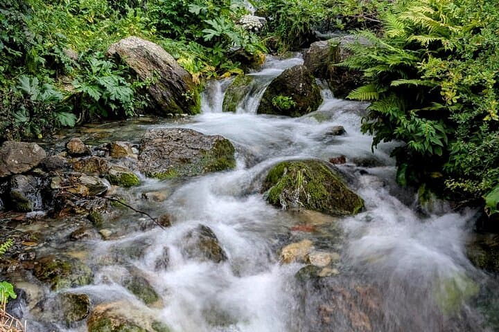 Electric Eco-Tour: Kazbegi & Gudauri Day Trip from Tbilisi