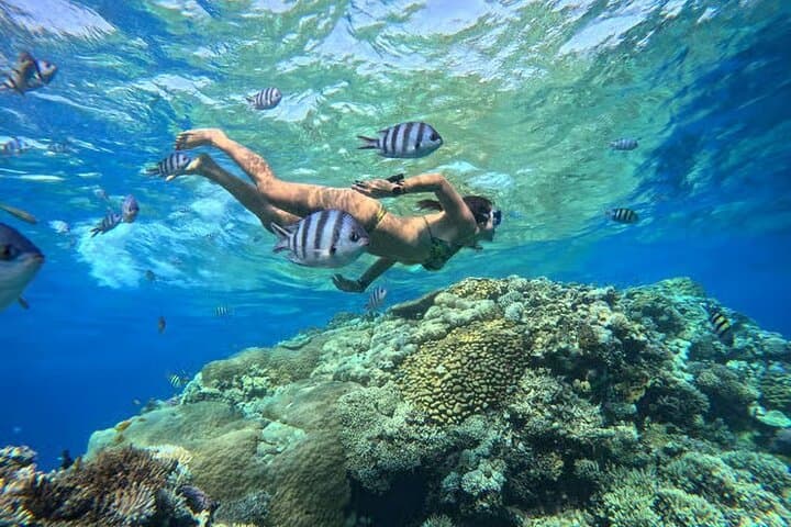 Orange Island Snorkel Cruise from Hurghada with Lunch photo 3