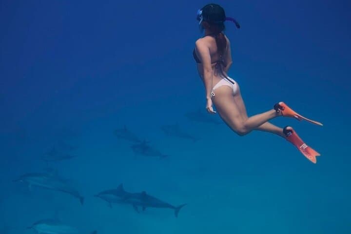 Private Speedboat Trip to Dolphin House Hurghada — Snorkel with Wild Dolphins photo 6