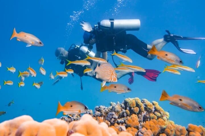 Marsa Mubarak Snorkeling, Intro Dive & Lunch — Full-Day Red Sea Boat Trip photo 4