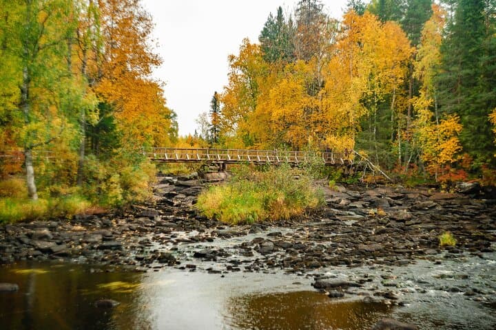 Vaatunkiköngäs Trail: Arctic Circle Forest Hike from Rovaniemi photo 5