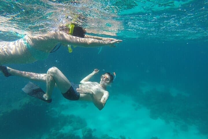 Private Speedboat Dolphin Swim from Hurghada — Dolphin House & El Gouna Snorkel photo 3