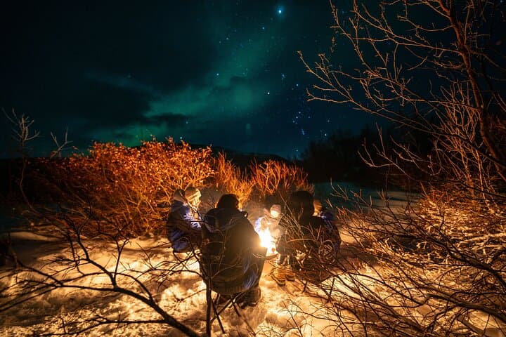 Northern Lights Chase from Tromsø: Small-Group Aurora Tour by Mini Van photo 6