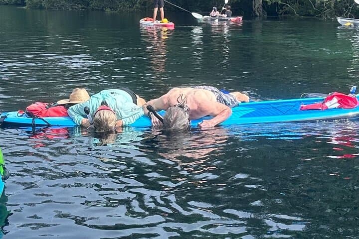Paddleboard Rental at Three Sisters Springs – Crystal River Manatee Refuge photo 4