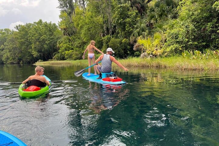 Paddleboard Rental at Three Sisters Springs – Crystal River Manatee Refuge photo 6