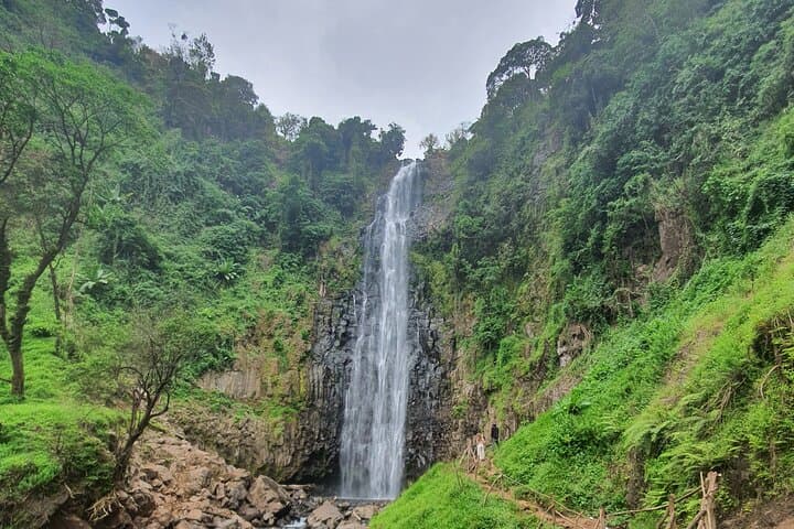 Materuni Waterfalls & Chagga Coffee Tour from Moshi — Half-Day Hike and Cultural Experience