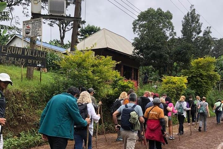 Materuni Waterfalls & Chagga Coffee Tour from Moshi — Half-Day Hike and Cultural Experience photo 4