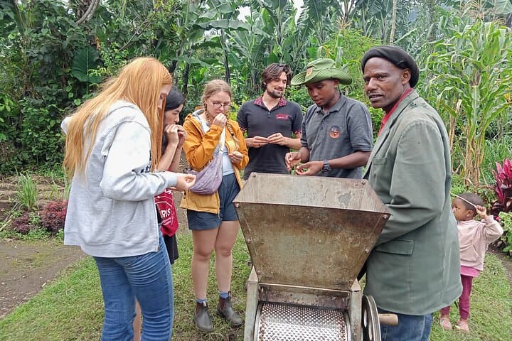 Materuni Waterfalls & Chagga Coffee Tour from Moshi — Half-Day Hike and Cultural Experience photo 6