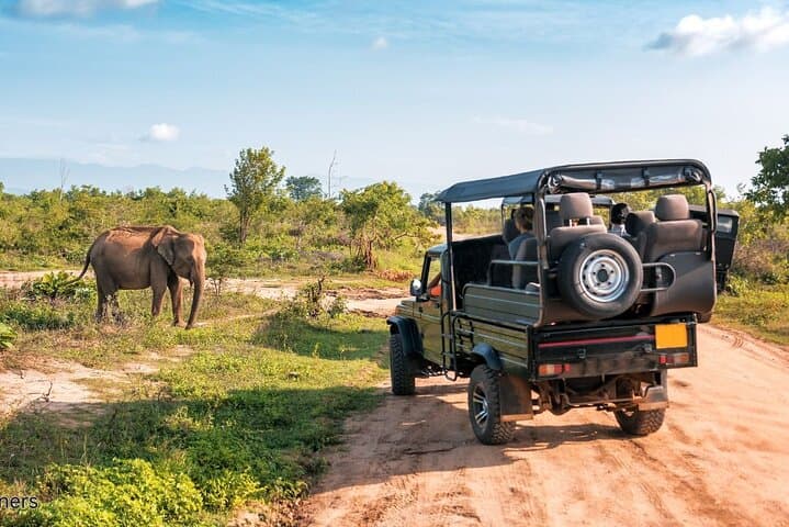 Day Safari to Aquila Game Reserve: Big Five Game Drive from Cape Town photo 3