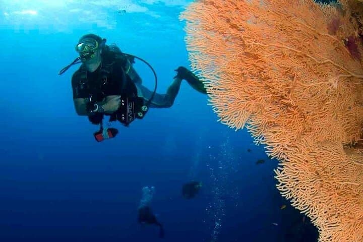 Hurghada Full-Day Two-Dive Boat Trip: Red Sea Scuba Adventure photo 4