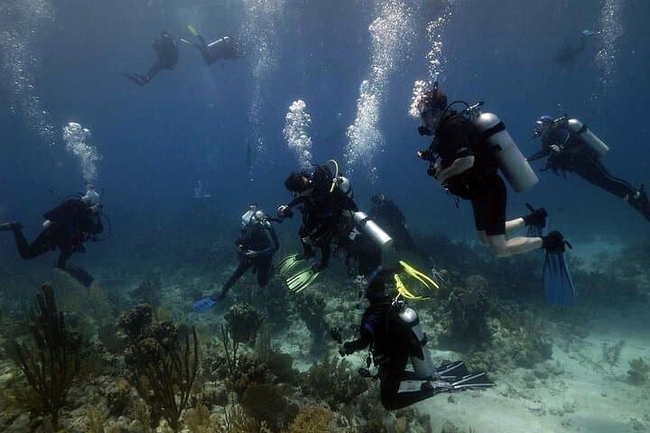 Hurghada Full-Day Two-Dive Boat Trip: Red Sea Scuba Adventure photo 5
