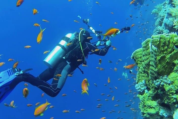 Hurghada Full-Day Two-Dive Boat Trip: Red Sea Scuba Adventure photo 6