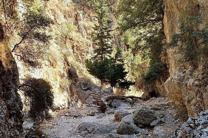 Imbros Gorge Private Hike & South Coast Beach — Full-Day Guided Trek in Crete photo 3