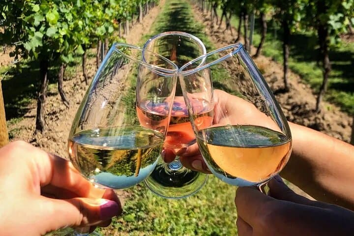 Cape Town Three Capes & Wine Regions: 2-Day Coastal Tour to Cape Point, Agulhas & Hermanus photo 5
