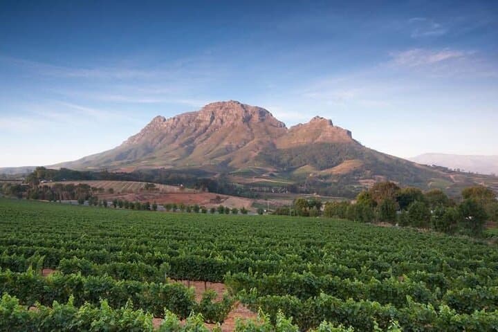 Cape Town Three Capes & Wine Regions: 2-Day Coastal Tour to Cape Point, Agulhas & Hermanus photo 6