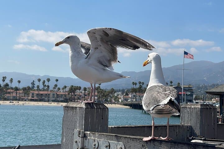 Explore Santa Barbara: Private Touring Experience Through Iconic Landmarks and Hidden Gems photo 4