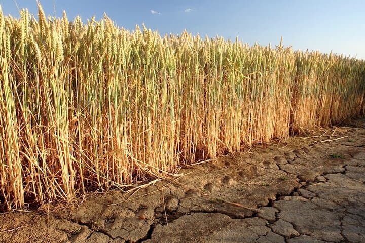 Private Dahshur Pyramids and Egyptian Farmland Day Tour from Cairo photo 2