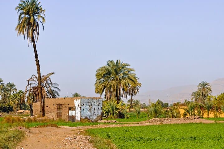 Private Dahshur Pyramids and Egyptian Farmland Day Tour from Cairo photo 3