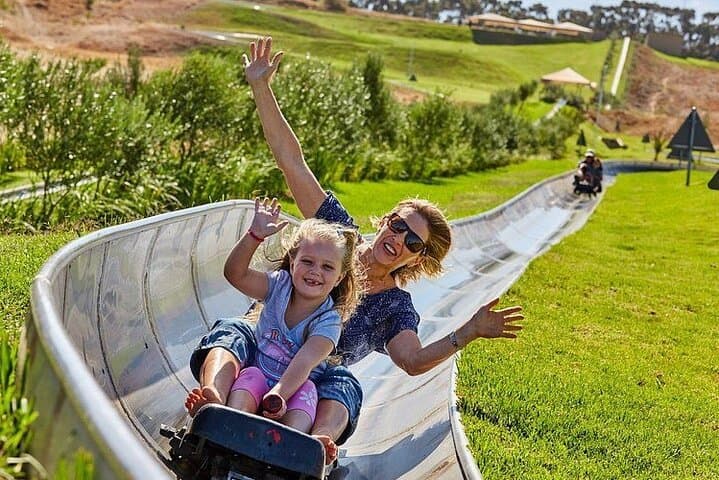 Cool Runnings Toboggan Adventure: 1.25 km Downhill Ride with City Views in Cape Town