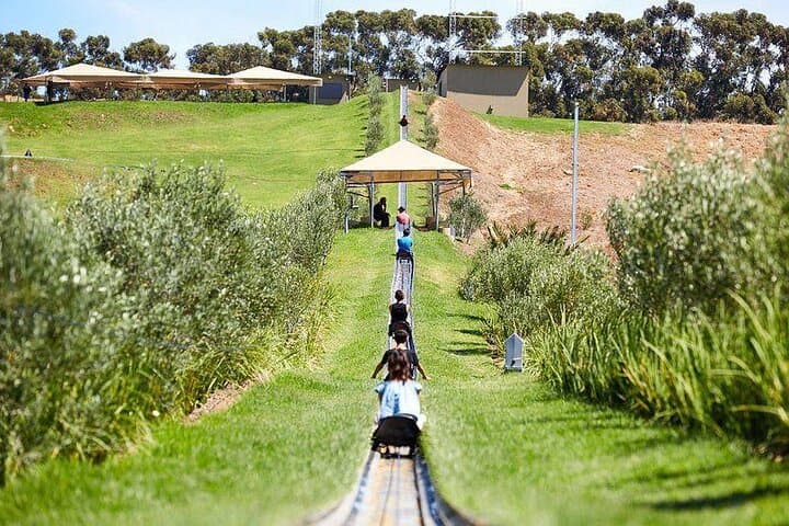 Cool Runnings Toboggan Adventure: 1.25 km Downhill Ride with City Views in Cape Town photo 2