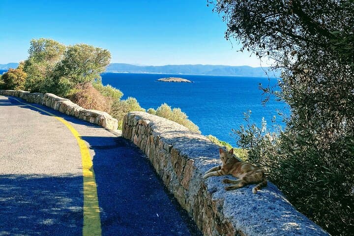 Büyükada Cycling Tour: Bike the Princes' Island with a Local Guide photo 2
