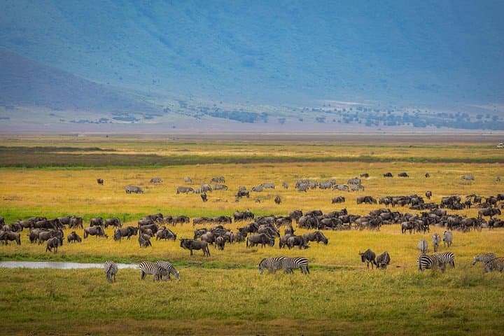 Luxury 5-Day Safari: Tarangire, Serengeti & Ngorongoro Crater photo 1