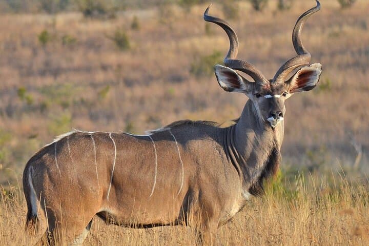 5-Day Midrange Safari: Tarangire, Serengeti & Ngorongoro Highlights photo 6