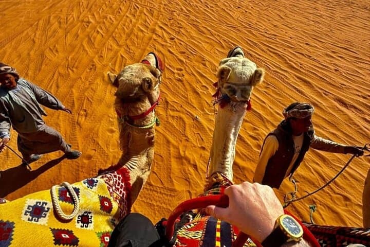 Riyadh Desert Camel Ride and Quad Bike Adventure photo 4