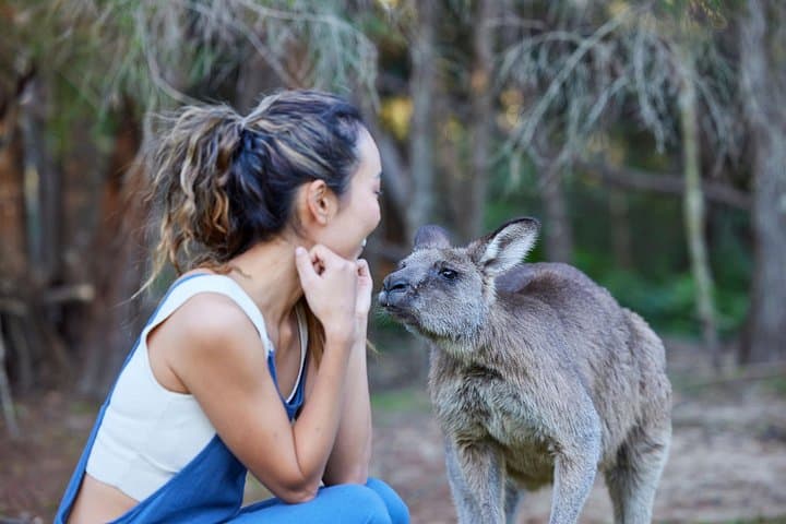 Wallabies & Wine: Hunter Valley Wildlife & Vineyard Day Tour from Sydney