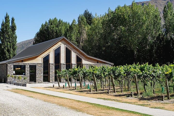Queenstown Classic Wine Tour — Gibbston Wineries, Cave Tour & Cheeseboard photo 6