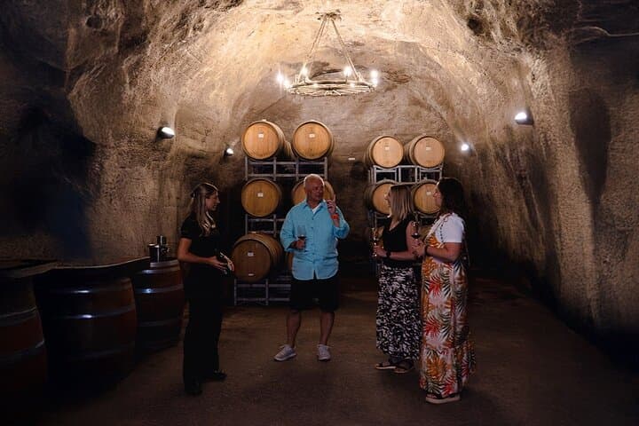 Queenstown Classic Wine Tour — Gibbston Wineries, Cave Tour & Cheeseboard