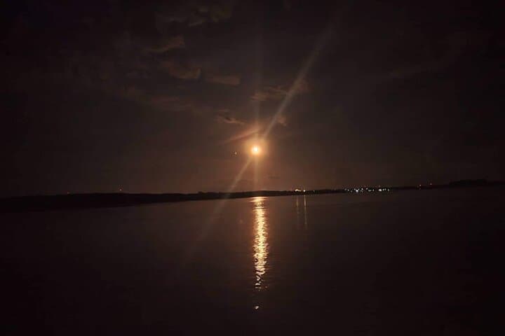 Moonlit Mangroves: Puerto Princesa Firefly Bay Cruise with Dinner photo 2