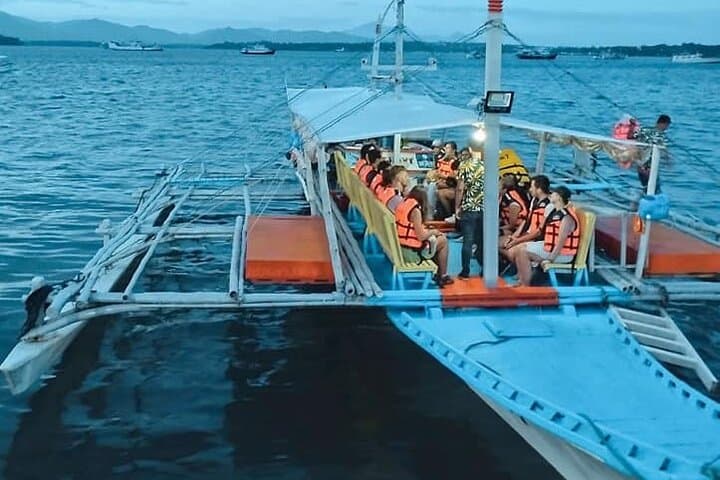 Moonlit Mangroves: Puerto Princesa Firefly Bay Cruise with Dinner photo 6