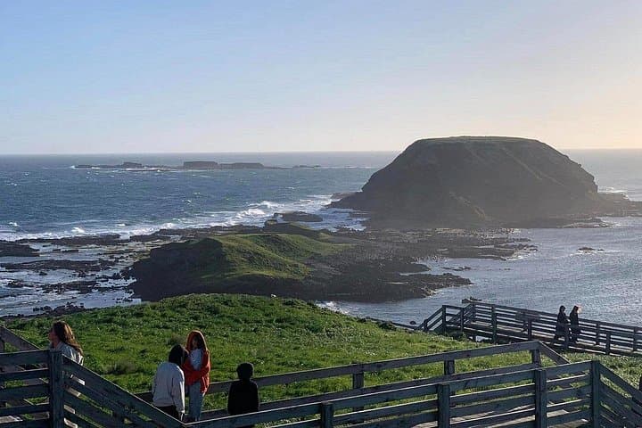Phillip Island Day Tour from Melbourne: Penguin Parade, Nobbies & Chocolate Factory photo 1