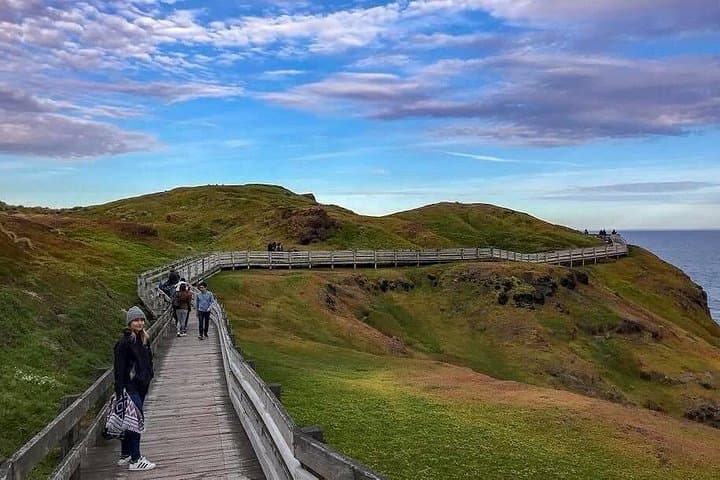 Phillip Island Day Tour from Melbourne: Penguin Parade, Nobbies & Chocolate Factory photo 2