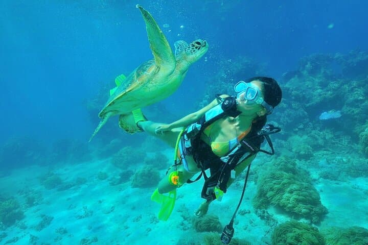 Half-Day Private Scuba Charter in Ishigaki — Sea Turtles & Manta Rays