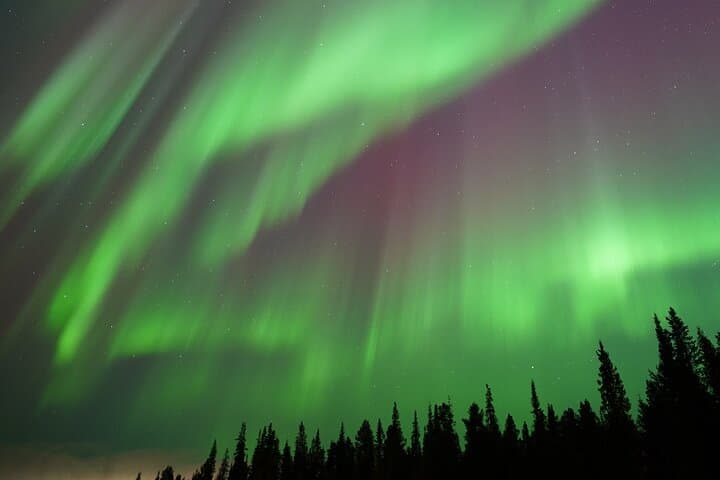Rovaniemi Multi-Night Northern Lights Chase — Guaranteed Aurora Tours photo 4