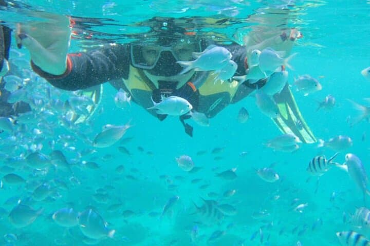 Blue Cave Snorkeling from Onna: Boat Trip to Okinawa's Blue Cave photo 3