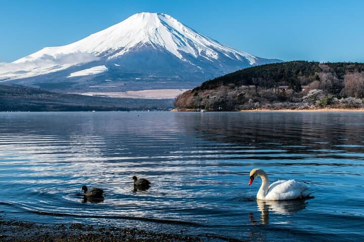 Mt. Fuji & Hakone Private Day Tour from Tokyo — 10-Hour Customizable Drive, Ropeway & Lake Ashi Cruise photo 3