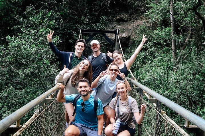 Springbrook Waterfalls & Natural Bridge Day Tour — Koalas, Kangaroos & Glow-worms photo 2