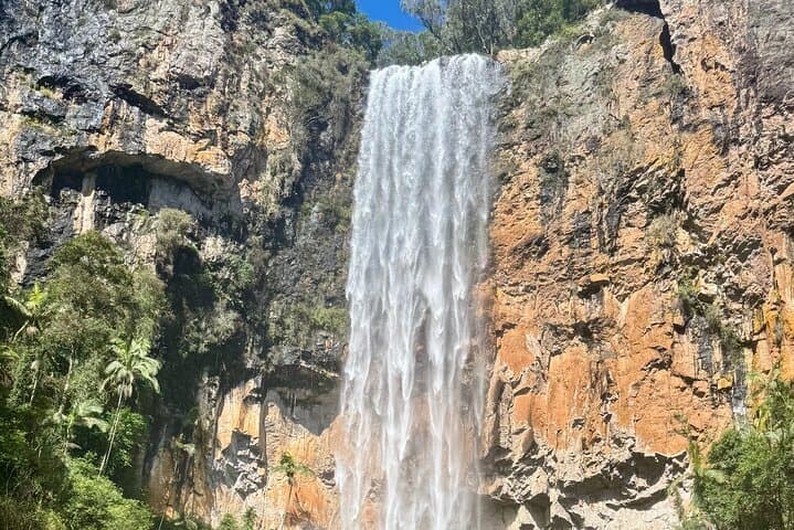 Springbrook Waterfalls & Natural Bridge Day Tour — Koalas, Lookouts & Rainforest Walks photo 3