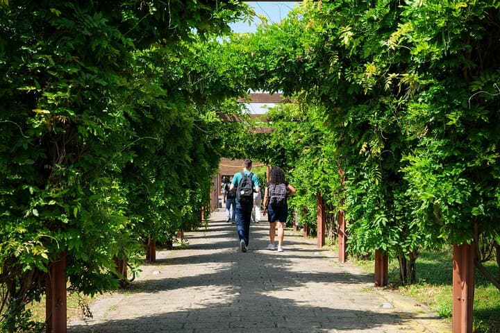 Explore Herculaneum's Intact Roman Houses on a 2-Hour Guided Tour photo 2