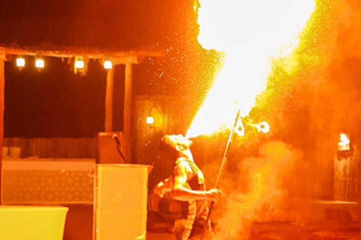 Abu Dhabi Evening Desert Safari: Dune Bashing, Falconry & Starry BBQ photo 6
