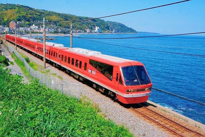 Izu Scenic Oceanview Train, Volcano & Jogasaki Coast Day Trip from Tokyo
