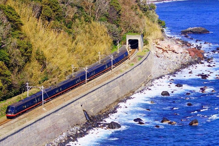 Izu Scenic Oceanview Train, Volcano & Jogasaki Coast Day Trip from Tokyo photo 2
