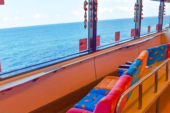 Izu Scenic Oceanview Train, Volcano & Jogasaki Coast Day Trip from Tokyo photo 3